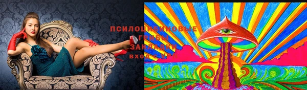мескалин Алексин