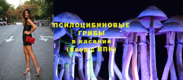 мескалин Алексин