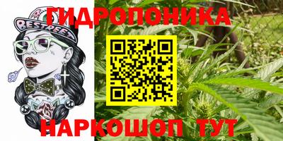 ALPHA PVP Кунгур