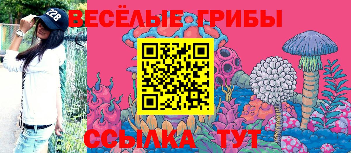Псилоцибиновые грибы Cubensis Кириши