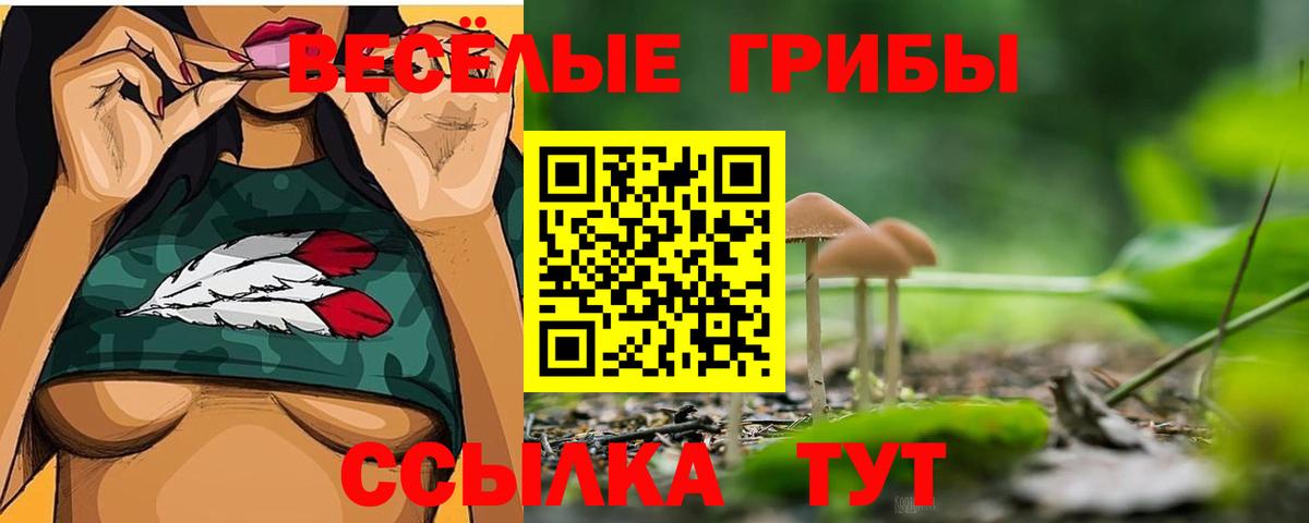 Кириши  Галлюциногенные грибы Magic Shrooms  Вход с VPN 